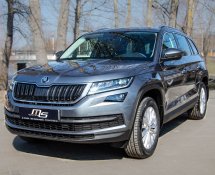 Skoda Kodiaq (Grey)