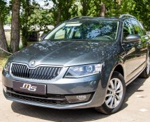 Skoda Oсtavia (Gray)