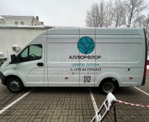 АллюрФлор - Газель Next